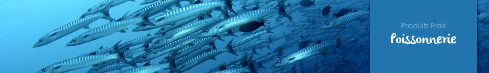 Poissonnerie