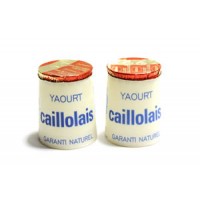 Yaourt Le Caillolais Vanille artisanal 2*125 gr