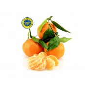 Clémentines Corse IGP - 1Kg