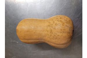A sauver ! Courge Butternut de Provence à la Pièce 1 Kg environ