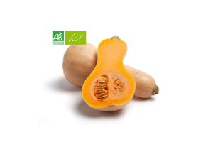 Courge Butternut BIO - pièce de 1Kg environ