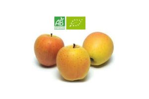 Pommes jaunes BIO - 1Kg