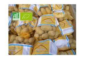 Pommes de Terre BIO - 5Kg