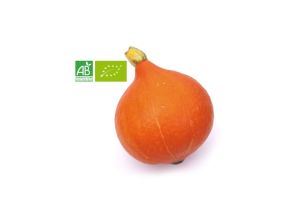 Courge Potimarron BIO - pièce de 900g à 1Kg 
