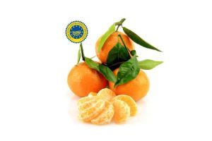 Clémentines Corse IGP - 1Kg