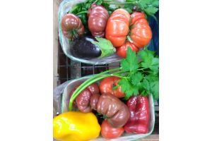 Légumes à ratatouille Barquette de 2kg