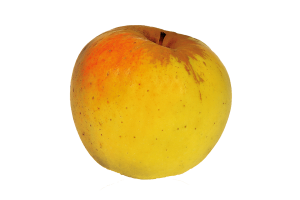 Pommes jaune BIO OPALE (1Kg environ)
