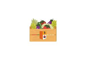 PETIT Panier Fruits & Légumes de Saison