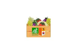  Petit Panier BIO de Fruits et Légumes de saison