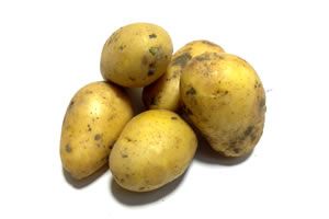 Pommes de Terre jaune BIO (petites) 5Kg