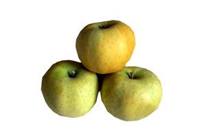 Pomme jaunes Chanteclerc, sachet de 1Kg