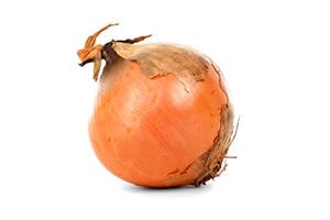 Les oignons sont produits dans le Vaucluse en Agriculture raisonnée.  